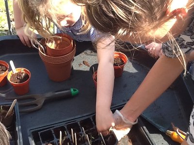 Image of Gardening with Year 1